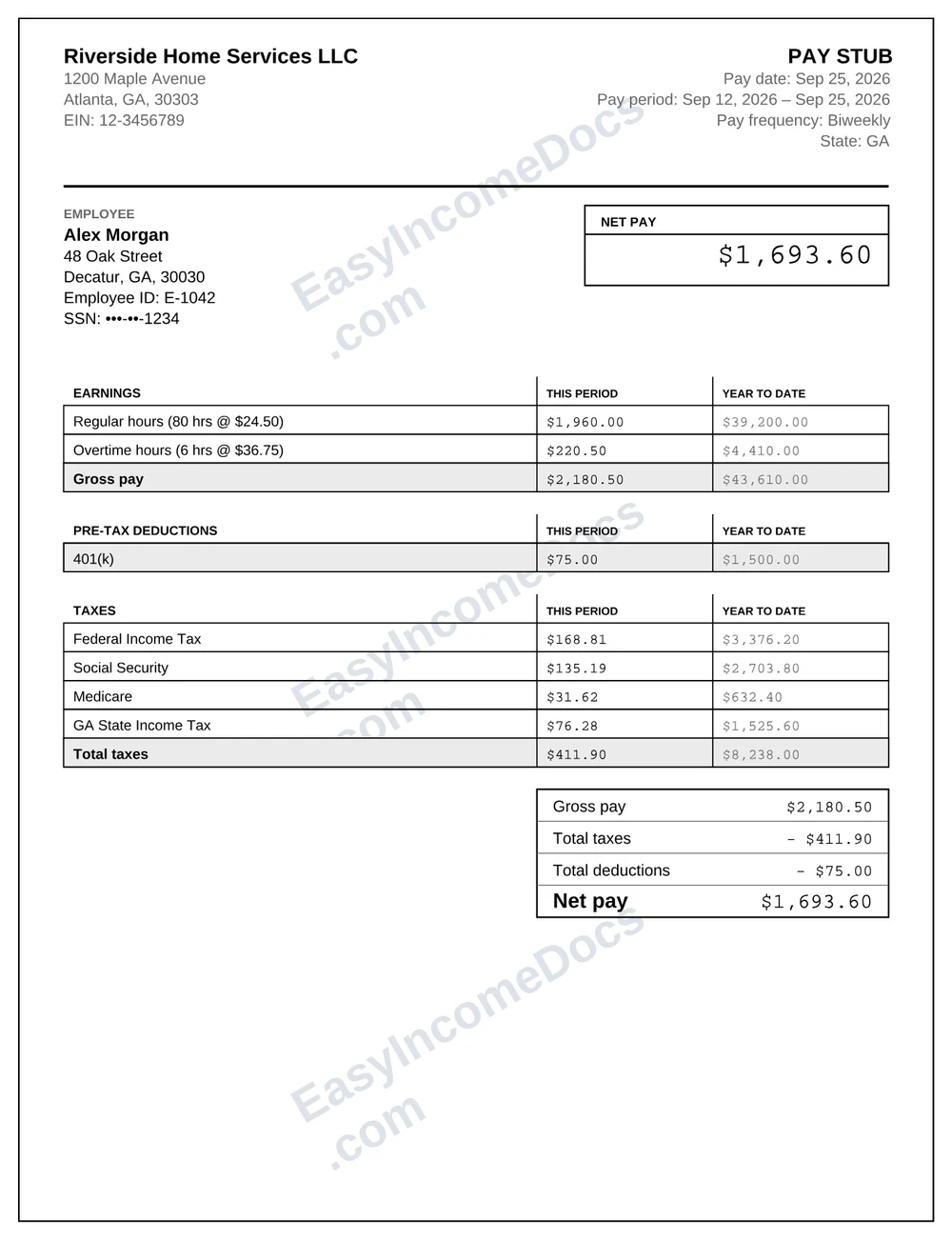 Traditional Ledger pay stub example, full page, with made-up sample details
